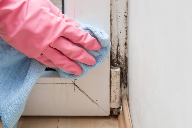 Crawl Space Mold Removal in Woodlands, CA