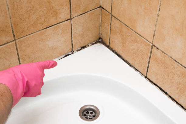 Best Mold Testing  in Woodlands, CA